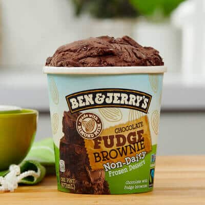 Pint of Non-Dairy Chocolate Fudge Brownie